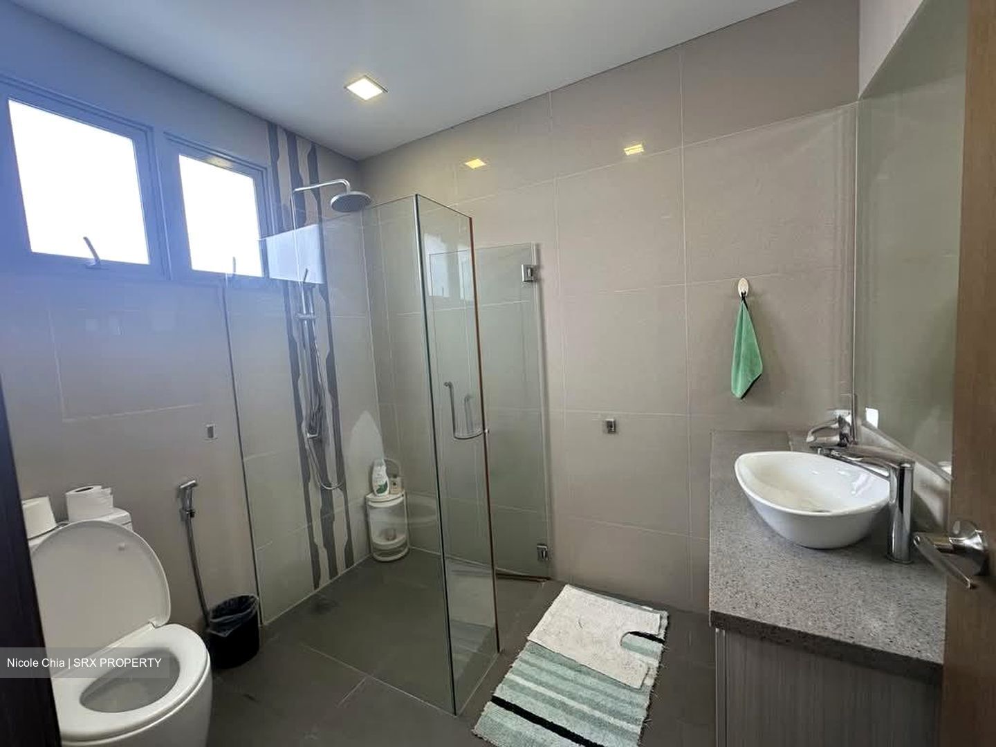 Seletar Hills Estate (D28), Semi-Detached #576541251